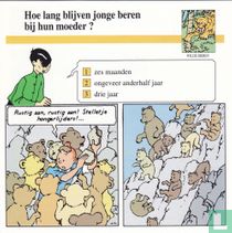 Wilde dieren: Hoe lang blijven jonge beren bij hun moeder?