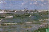 Branding met meeuwen