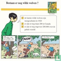 Wilde dieren: Bestaan er nog wilde wolven?