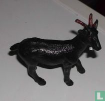 Bok