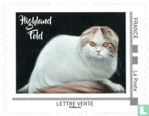 Chats Iles Britanniques