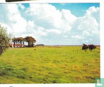 Les polders