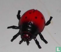 coccinelle
