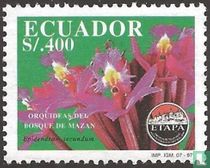 Orchidées de la forêt de Mazan