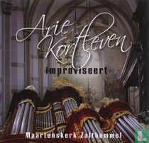 Improviseert - Maartenskerk, Zaltbommel