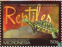 Reptiles