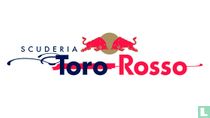 Toro Rosso (STR) modellautos / autominiaturen katalog