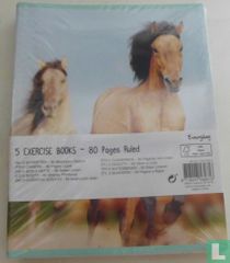 5 exercise books