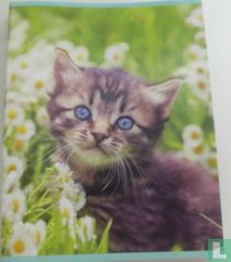 Gelineerd schrift