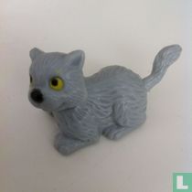 Gray Dog