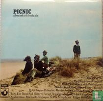 Picnic