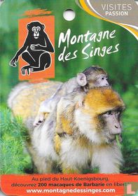 Montagne des Singes
