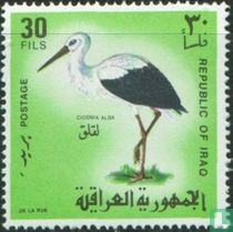 Oiseaux