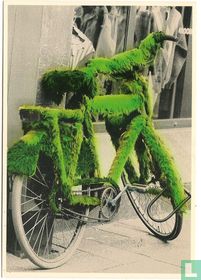 Green Bike (00177)