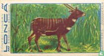 Antiloop