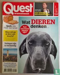 Quest 134