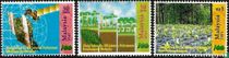100 jaar departement van bosbouw