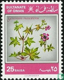 Plantes et animaux