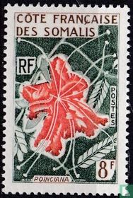 Bloemen