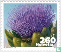 Flowering vegetable for sale