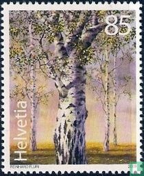 Oude bomen kopen