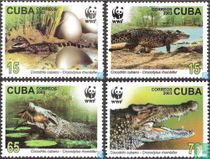 WWF-volet Crocodile