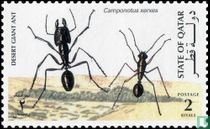 Insectes indigènes