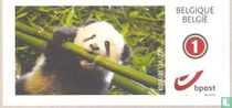 Pairi Daiza    