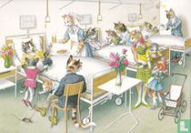 Dieren: Katten ziekenhuis