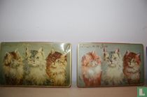 Droste kattetongen