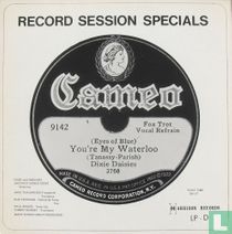 Record Session Specials