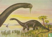 Brontosaurus (Apatosaurus)
