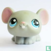 Muis