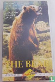 The Bear