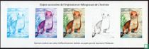Dieren, kleurproeven