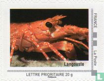 Les Antilles comme j'aime