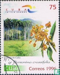 Tourismus und Blumen 