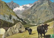 Val Ferret