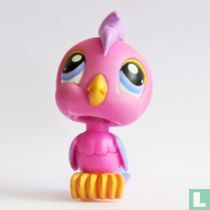 Cockatoo   