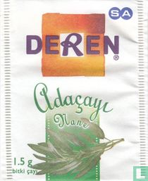 Adaçayi Nane