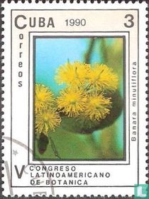 Botanisch Congres  kopen