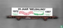 Containerwagen SJ
