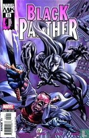 Black Panther 12