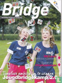 Bridge 10