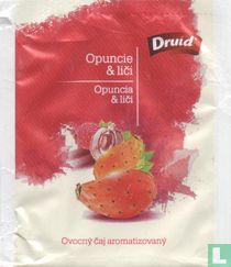 Opuncie & Lici