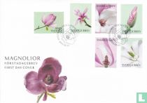 Magnolias