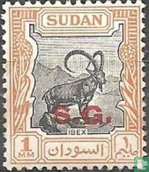 Motifs du pays