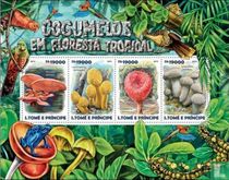Mushrooms and Rainforest