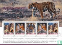Bengal tiger
