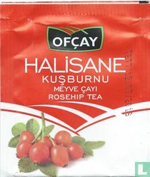Kusburnu 